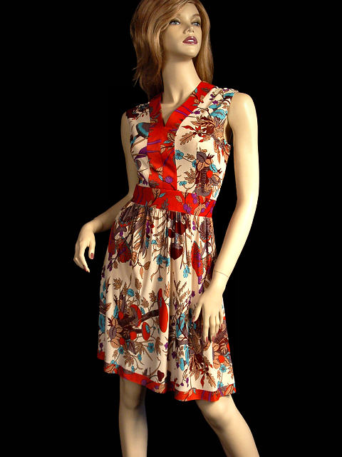VINTAGE BORDER PRINT SLEEVELESS DRESS ANDREA 1970S - eBay (item 130148348151 end time Nov-20-08 21:15:50 PST) from cgi.ebay.com